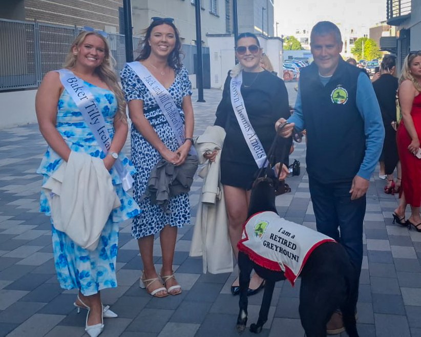 Shelbourne Park Greyhound Stadium tweet media