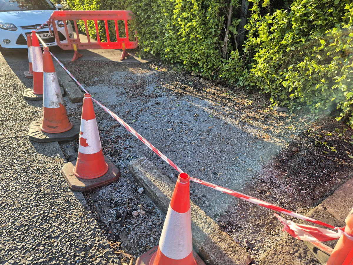James Hennessey (@jamesehennessey) on Twitter photo Hey <a href="/belfastcc/">Belfast City Council</a> councillors. Please tell us that our magnificent mature street trees lost to Storm Éowyn are being replaced and not just paved over to save money. Hey <a href="/belfastcc/">Belfast City Council</a> councillors. Please tell us that our magnificent mature street trees lost to Storm Éowyn are being replaced and not just paved over to save money.