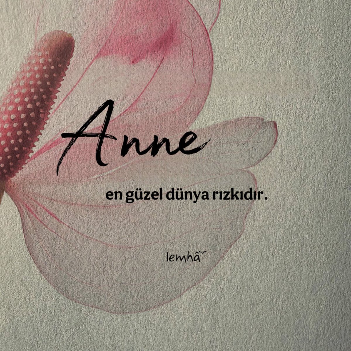 Bi’öğretmen ོ (@bi_ogretmn) on Twitter photo 