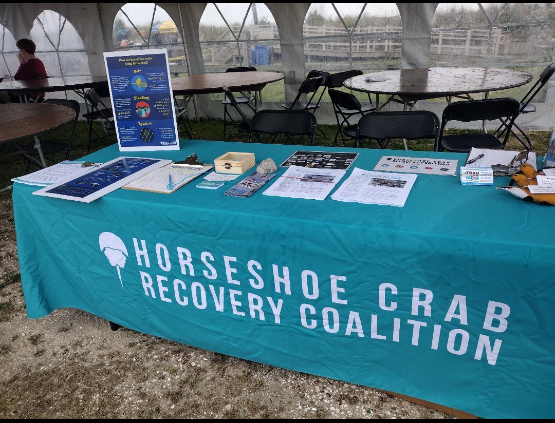 If you are in Fortescue, NJ today, come to the Downe Township Horseshoe Crab Festival, taking place until 4 pm. Admission is free.

Stop by our table to talk about synthetic equivalents to LAL, what fish species eat horseshoe crab eggs, local horseshoe crab events &amp; more!
