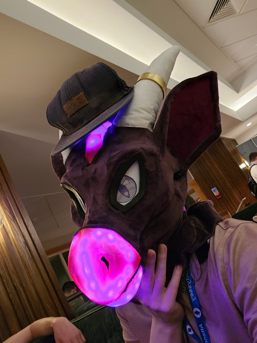 DovDragon's tweet image. Wait... CF in like a week?
I am not prepared
#FursuitEveryday #fursuiting #FursuitFriday #furries #CFz25 #furry