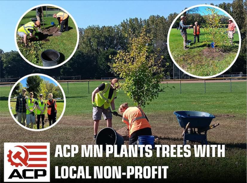 ACP_Minnesota's tweet image. ACP MN recently planted over 40 ash trees. Invasive emerald ash borers target ash trees, which are a huge proportion of the natural tree population in MN and require regular counter efforts.
Let's preserve our local environments and parks.
