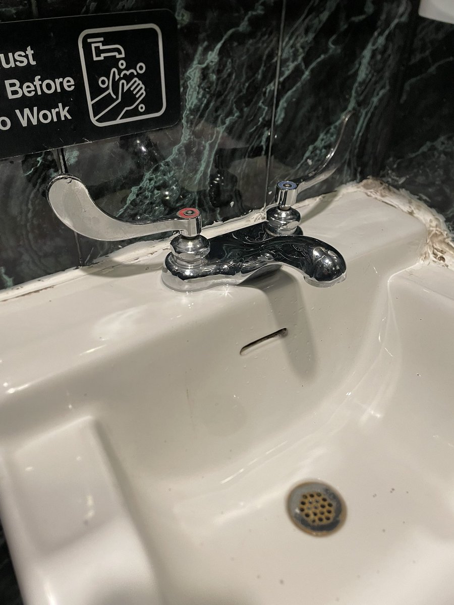 Found a moose in a restroom, just chilling there