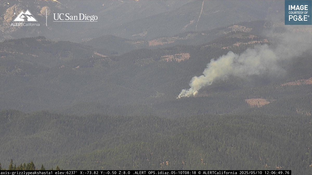 KernFiregraph's tweet image. #WillowFire 1 acre in timber w/ slow rate of spread, additional units requested.