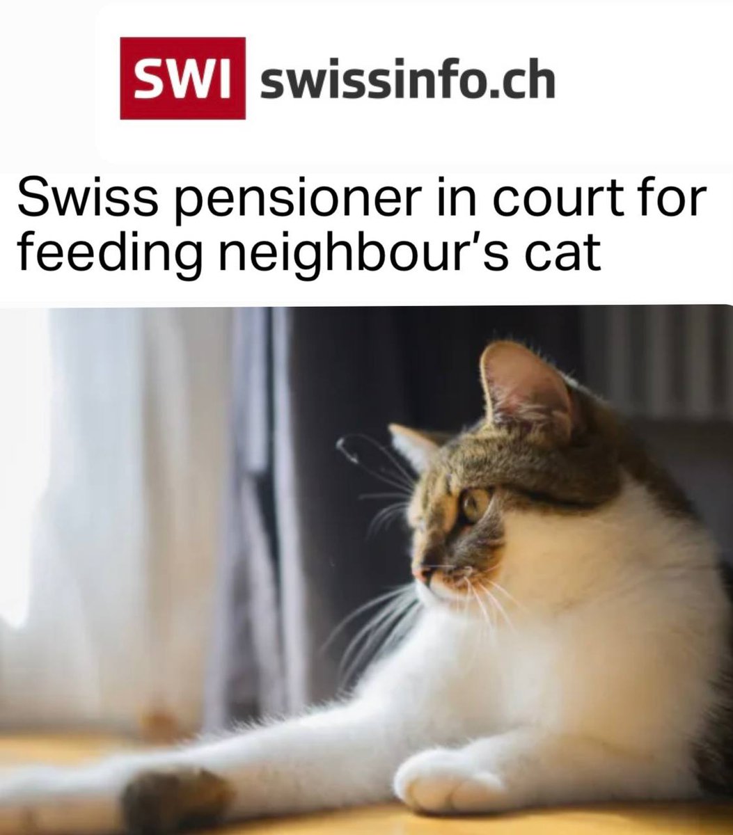 Пенсионерка из Швейцарии предстала перед судом за то, что накормила соседского кота .
 В Швейцарии это  является уголовным преступлением, поэтому суд оштрафовал на круглую сумму старушку прикормившую чужого кота.