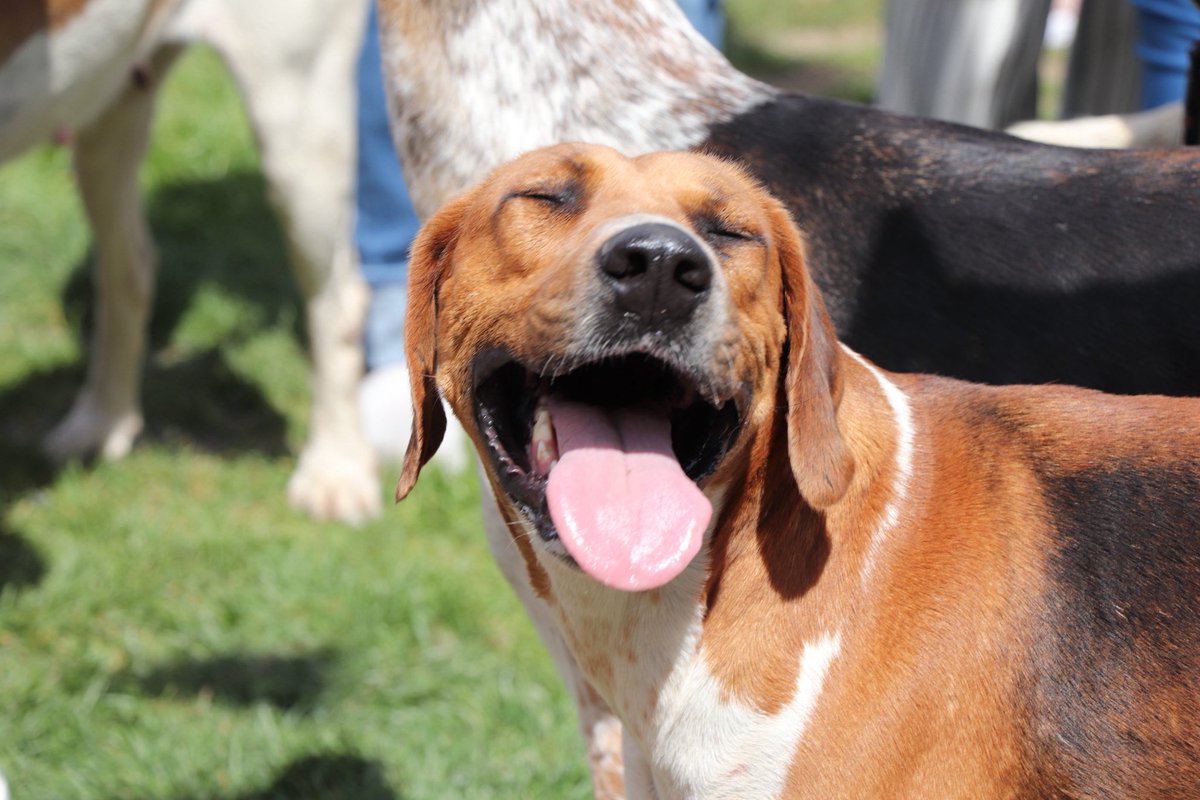 Broadway Village Fete…#broadwaycotswolds #villagefete <a href="/CofEWorcester/">Diocese of Worcester</a>