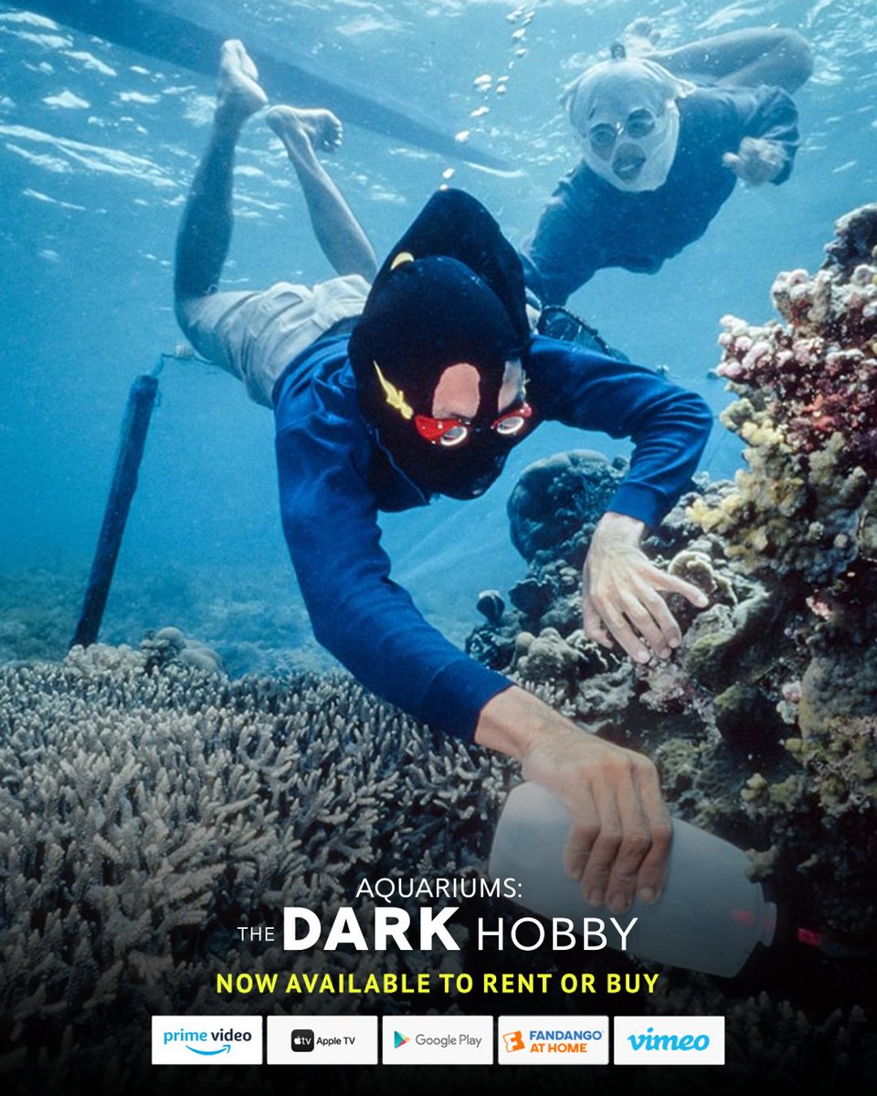 Aquariums: The Dark Hobby tweet media