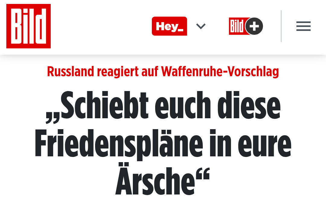 Heimat Freiheit 🇪🇺🇩🇪🇺🇦 tweet media