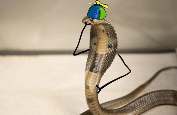 Snake_wif_Hat's tweet photo. There are still guys without $SSSSS?

Can't believe it... https://t.co/6V3lzFv9rD