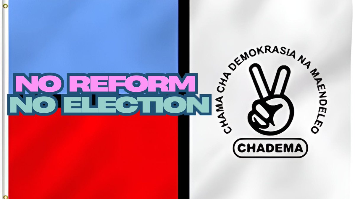 Kwa SASA Wanapinga vikali chaguzi zisizo huru kwa kauli maarufu "No Reform No Election". Bunge la Umoja wa Ulaya (EU Parliament) liliunga mkono madai ya ukiukwaji wa haki za binadamu. Kufikia 2024, chama bado kinapigania katiba mpya na tume huru kabla ya kushiriki chaguzi.