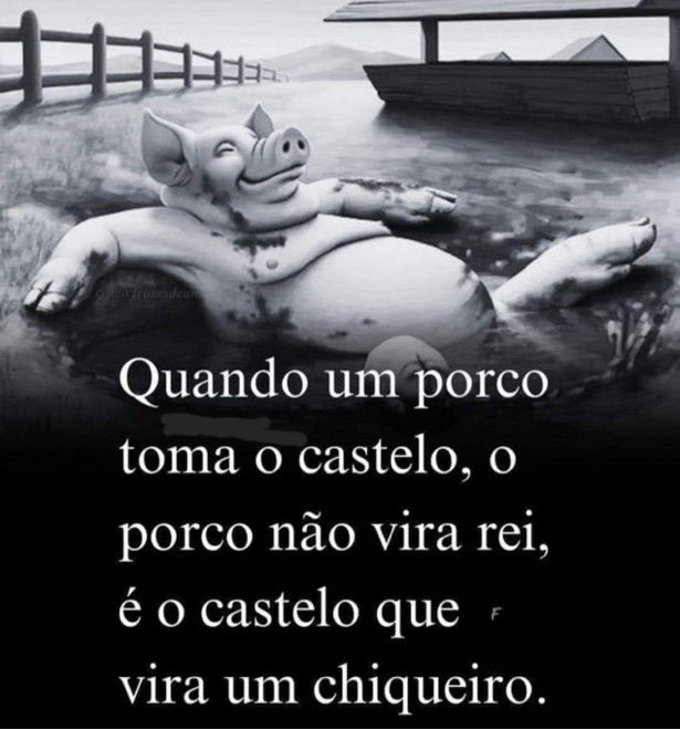 Quem é Satoshi (@quem_e_satoshi) on Twitter photo 