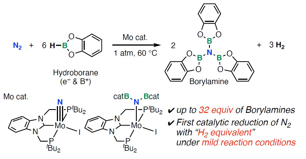 Catalytic Reduction of Dinitrogen via Hydroboration (<a href="/ChemRxiv/">ChemRxiv</a>): chemrxiv.org/engage/chemrxi….