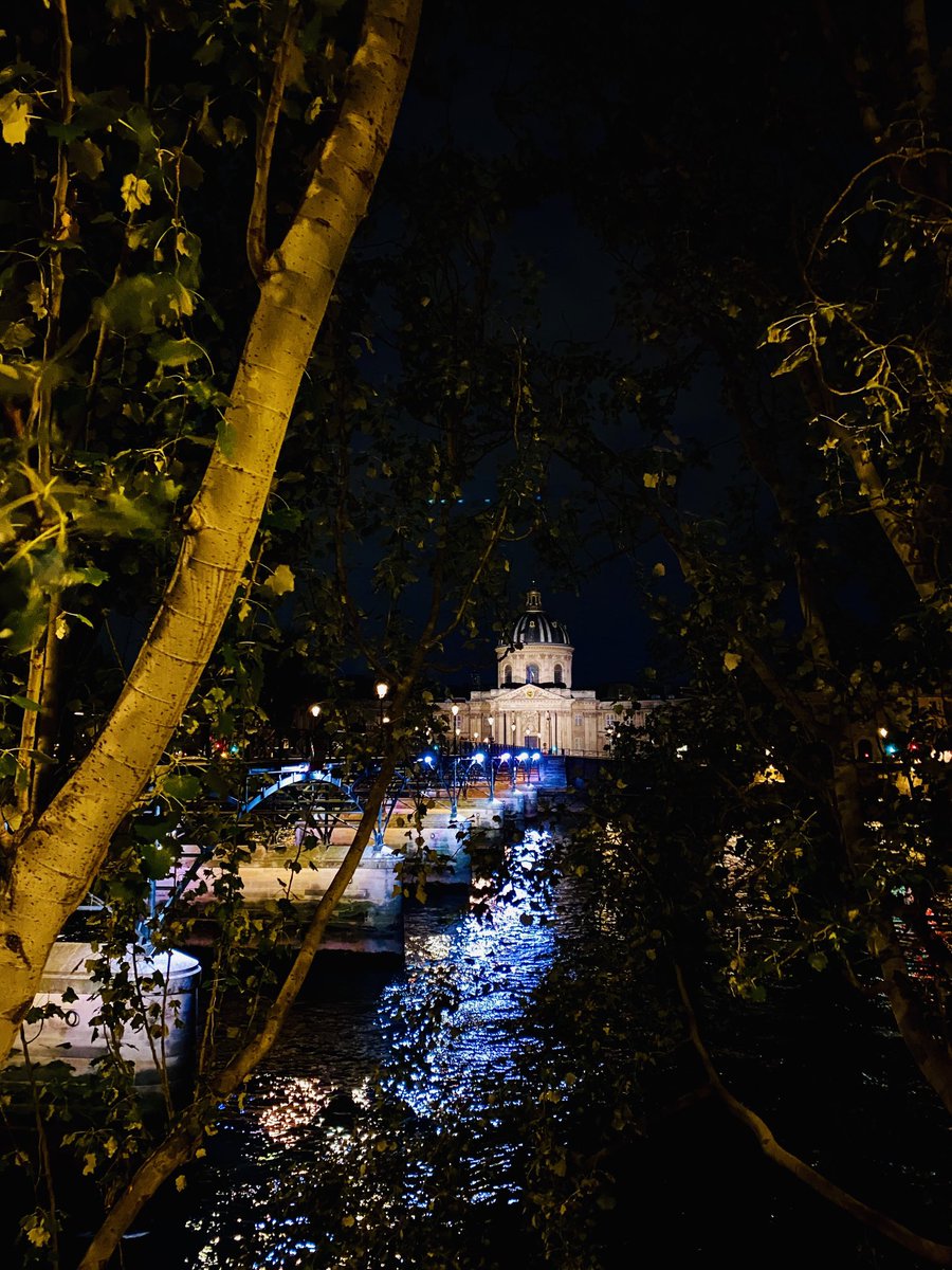 BFleurot's tweet image. Paris s’illumine sur l’Institut de France , sur le pont des Arts 🖤💙💚💛🤍📸B.Fleurot 📸🌅
