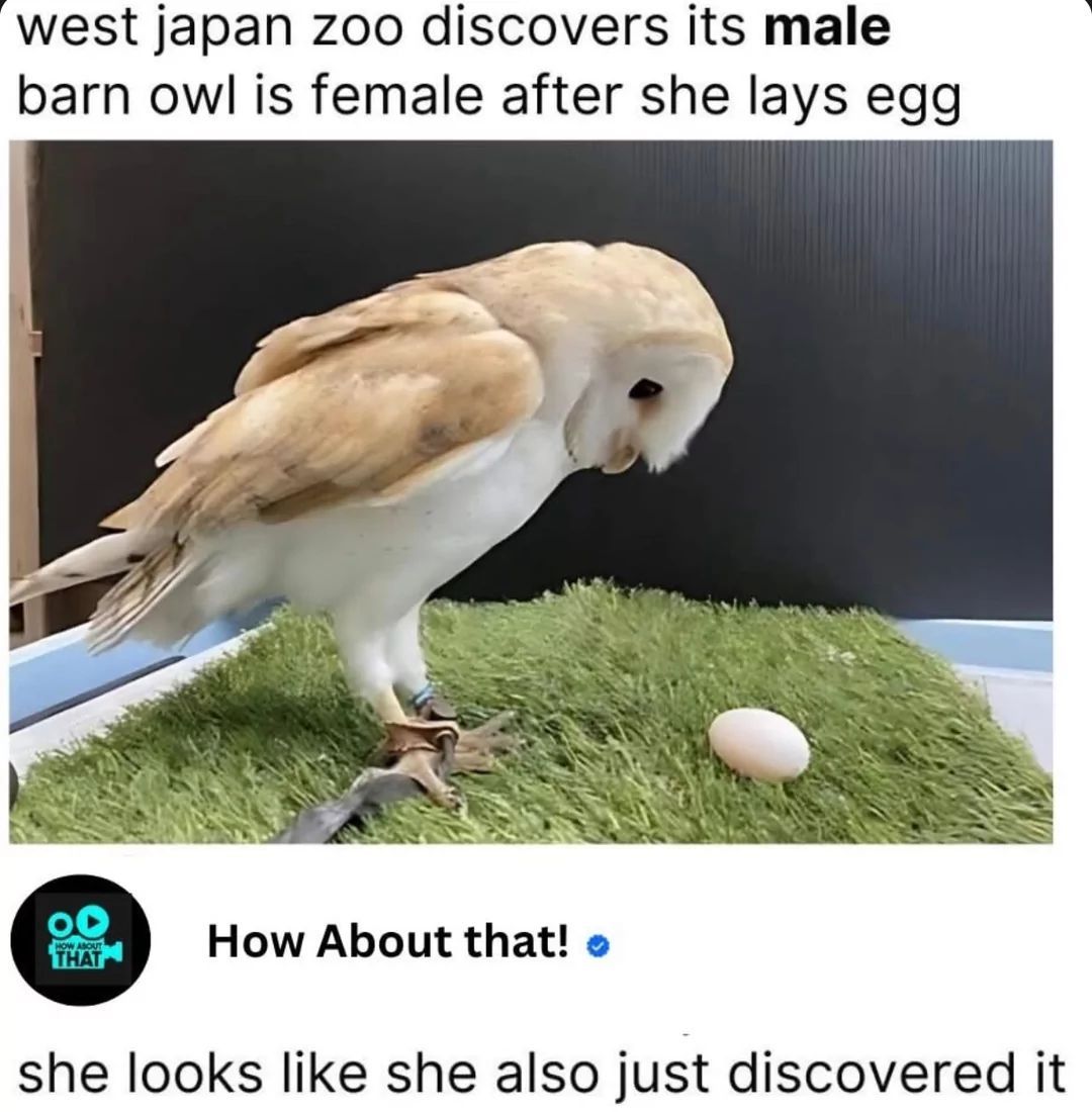 Ultimate Men's Guide tweet media