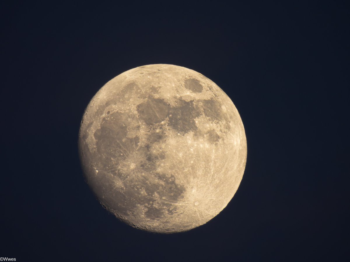 wesleyb1989's tweet photo. May10: the #Moon today :)

(#Nikon #Coolpix #P950 #P1000 #Lunar #MoonHour 
@MoonHourSocial @CliveBranch @PeterLewis55 @johnbilcliffe @thenewarea51 ) https://t.co/muFn93FPsV
