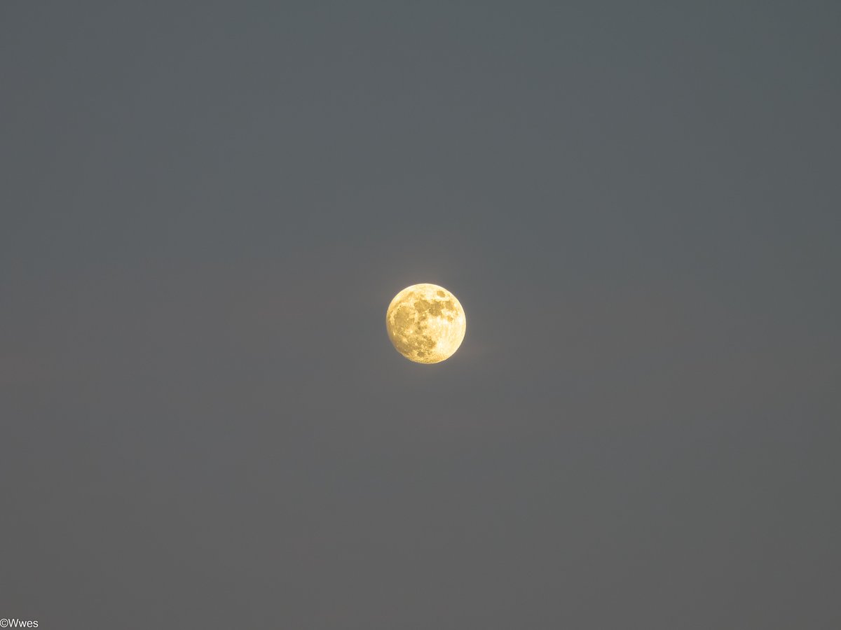 wesleyb1989's tweet photo. May10: the #Moon today :)

(#Nikon #Coolpix #P950 #P1000 #Lunar #MoonHour 
@MoonHourSocial @CliveBranch @PeterLewis55 @johnbilcliffe @thenewarea51 ) https://t.co/muFn93FPsV