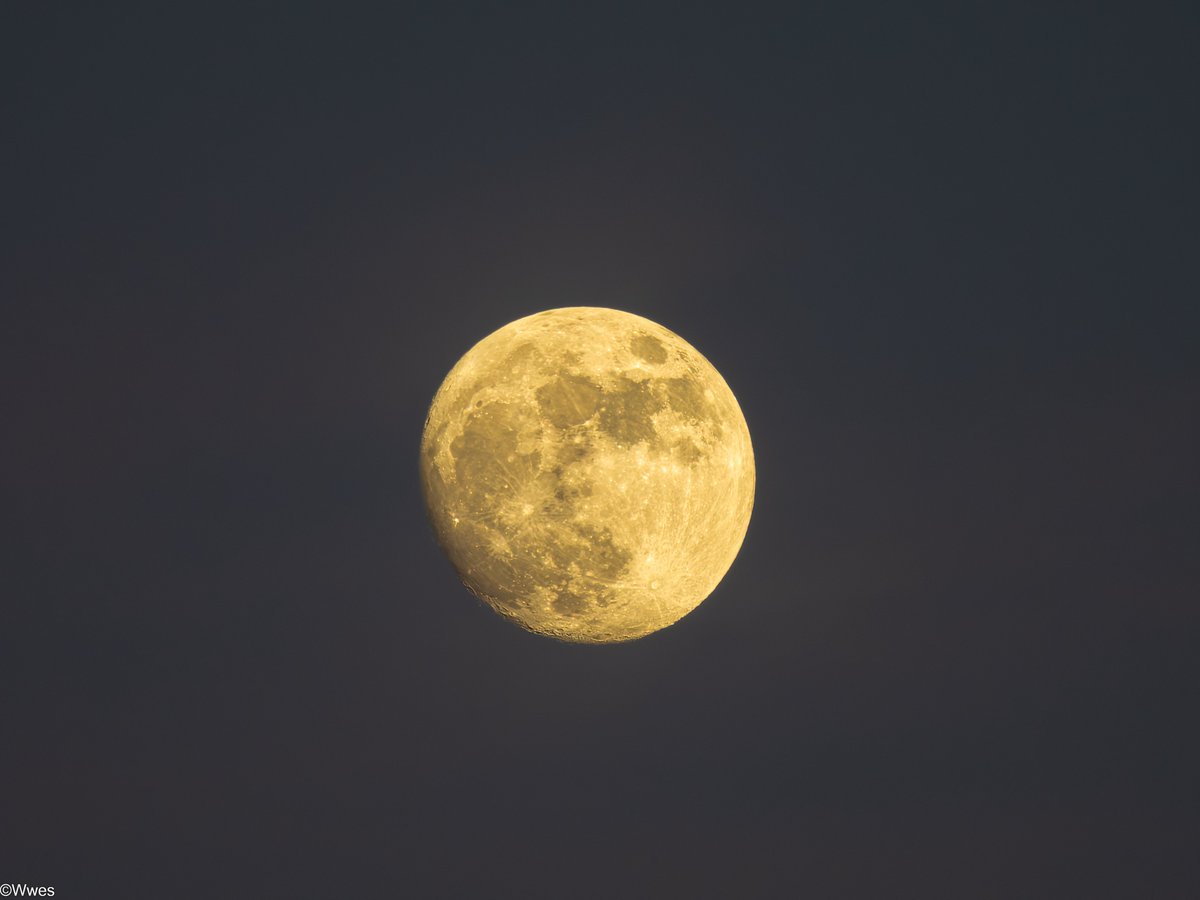 wesleyb1989's tweet photo. May10: the #Moon today :)

(#Nikon #Coolpix #P950 #P1000 #Lunar #MoonHour 
@MoonHourSocial @CliveBranch @PeterLewis55 @johnbilcliffe @thenewarea51 ) https://t.co/muFn93FPsV