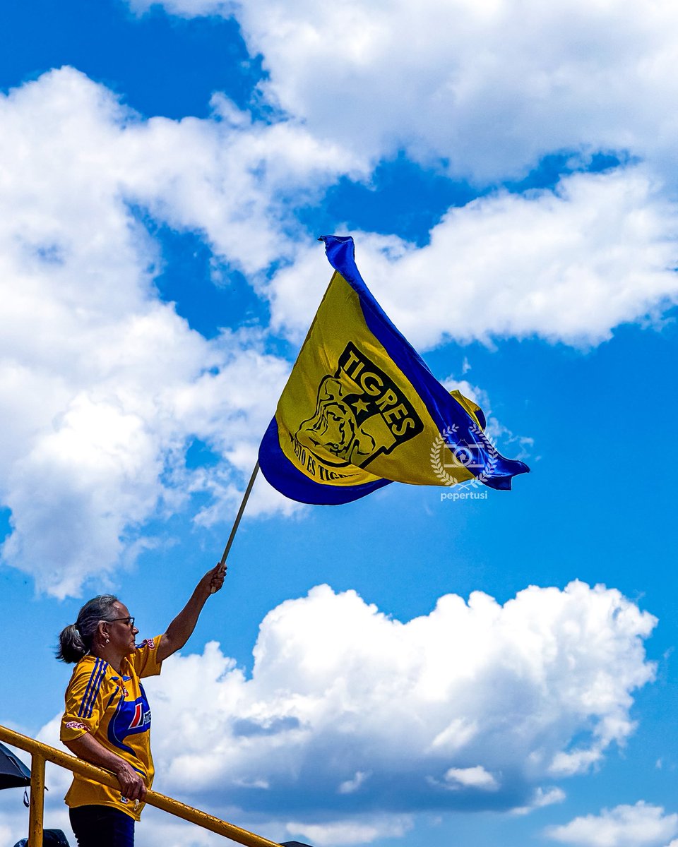 pepertusi tweet media