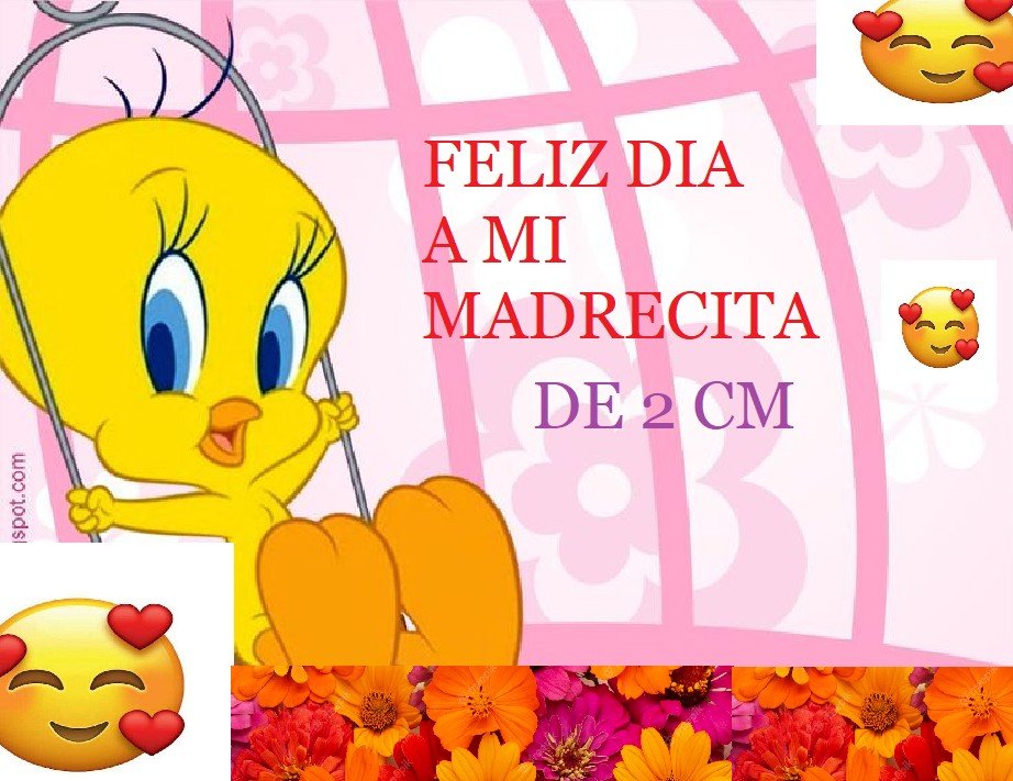 Papá de Mango (@mr_invark) on Twitter photo 