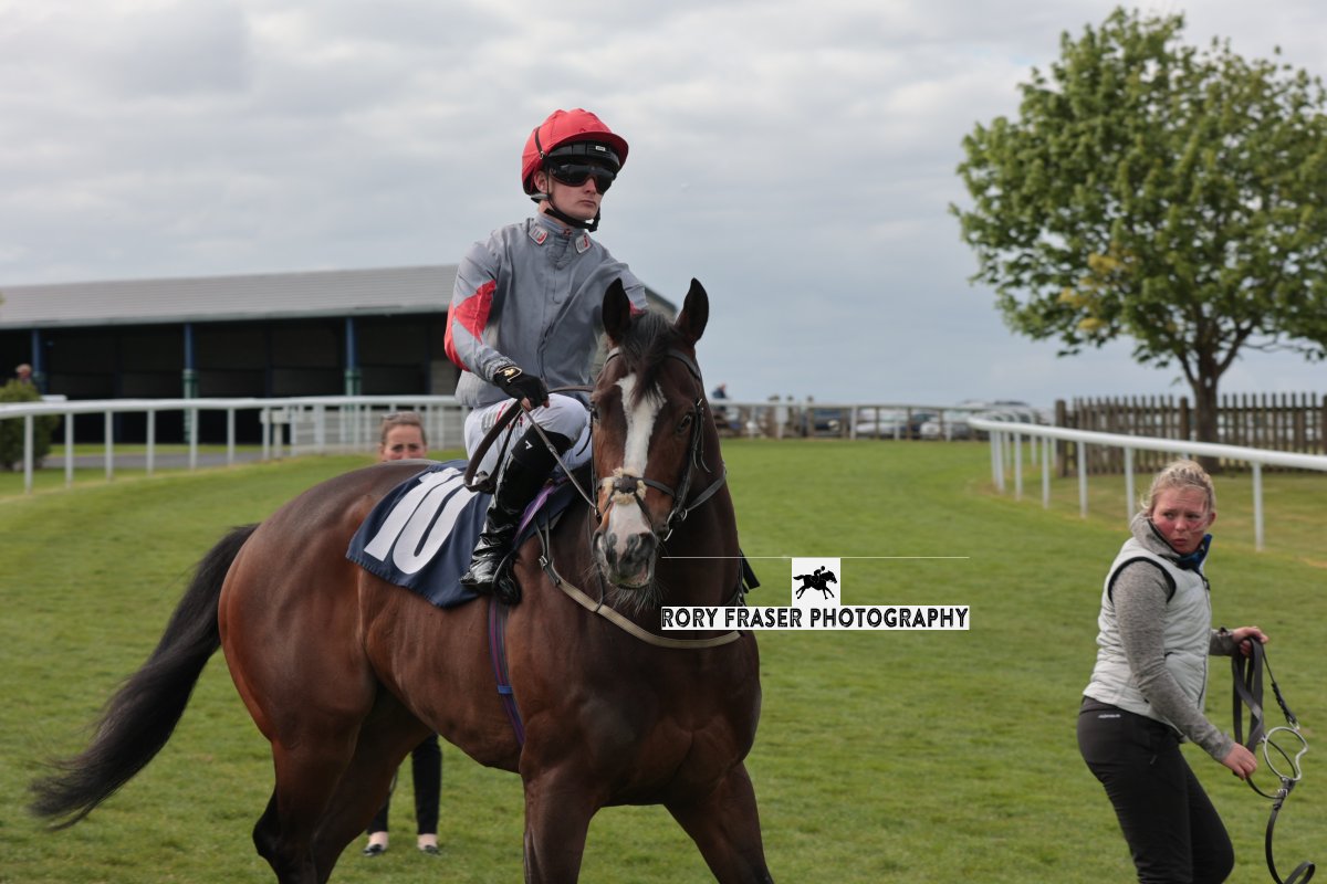 Rory Fraser Photography🤘 (@92roryf) on Twitter photo TICKTYBOO (Showcasing x Red Impact) at Beverley on Monday for a class four handicap (5f)
Trained by <a href="/RacingNigel/">Nigel Tinkler Racing</a> and owned by Martin Webb Racing.
Winner of one race from sixteen career starts with three second placings. TICKTYBOO (Showcasing x Red Impact) at Beverley on Monday for a class four handicap (5f)
Trained by <a href="/RacingNigel/">Nigel Tinkler Racing</a> and owned by Martin Webb Racing.
Winner of one race from sixteen career starts with three second placings.