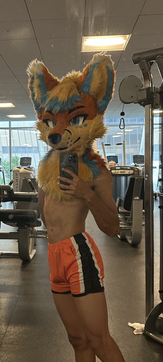 Gym at FWA~