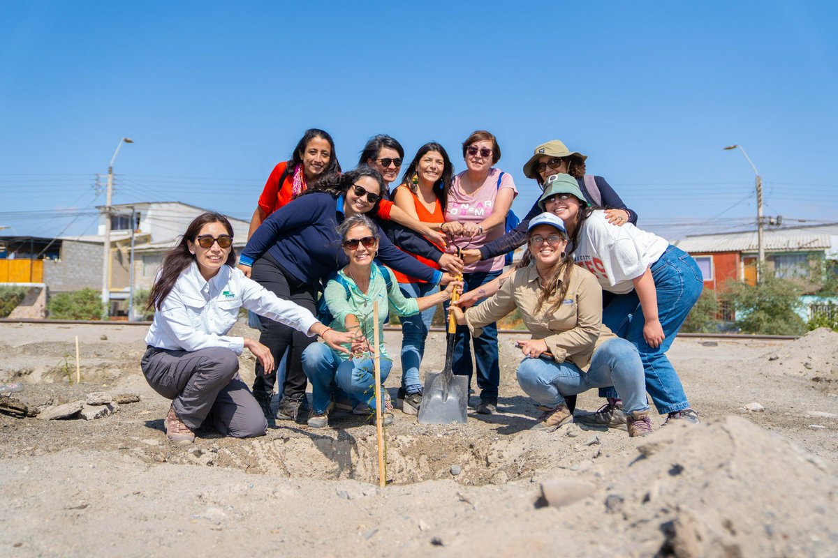 #Mejillones nueva jornada de #Arborizacion 

➡️  Plantamos 🌳🌳en representación de las niñas y niños recuperados de la Unidad de pacientes  críticos del Hospital Regional de #Antofagasta 

#ClubdeLeones Flor del Desierto 
#Escuela #MariaAngelicaElizondo