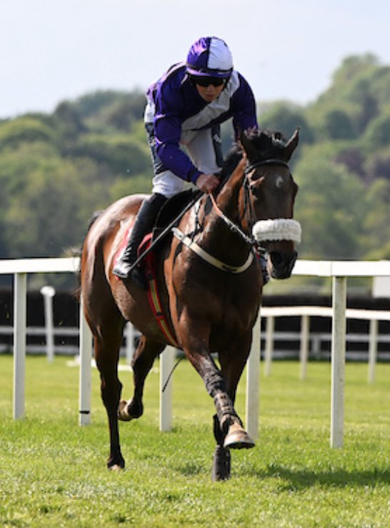 Terence O’Brien Racing (@tob_racing) on Twitter photo 🏆 WINNER WINNER 🏆
Nytol wins today in Cork under a super Johnny Shinnick ride.
Congratulations to all connections 🥳🏆🐎🏇
<a href="/Southern_Fuels/">Southern Fuel & Farm Supplies Ltd</a>
<a href="/REDMILLSHorse/">Connolly's RED MILLS</a> 🏆 WINNER WINNER 🏆
Nytol wins today in Cork under a super Johnny Shinnick ride.
Congratulations to all connections 🥳🏆🐎🏇
<a href="/Southern_Fuels/">Southern Fuel & Farm Supplies Ltd</a>
<a href="/REDMILLSHorse/">Connolly's RED MILLS</a>