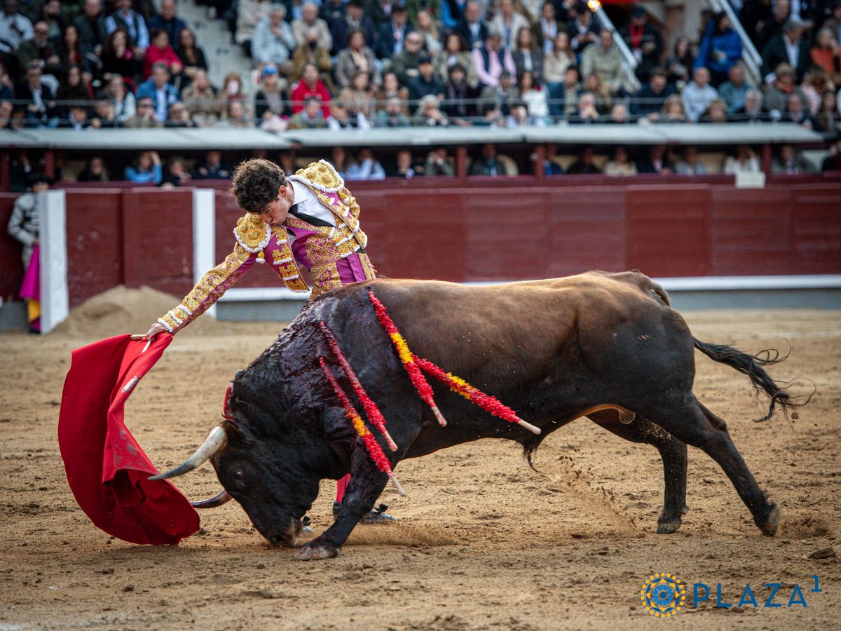 torero!