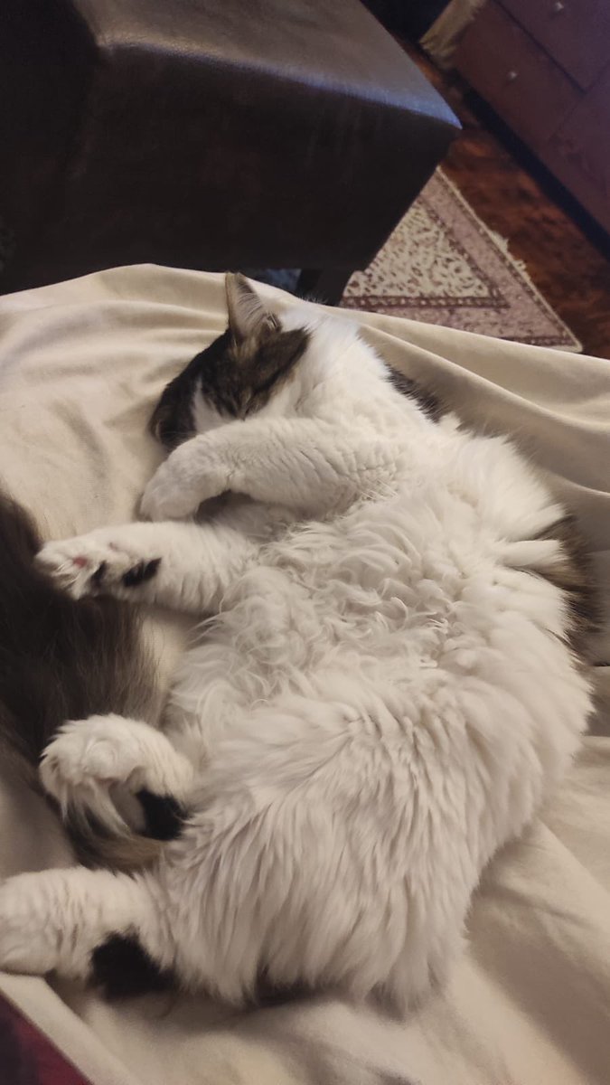 iyi uykuclar tostlarim 💤