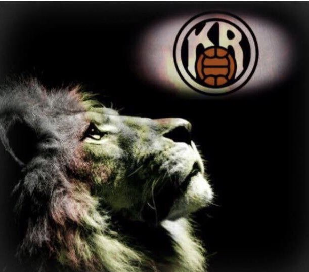 Tómas viðar (@tomasvidar) on Twitter photo 