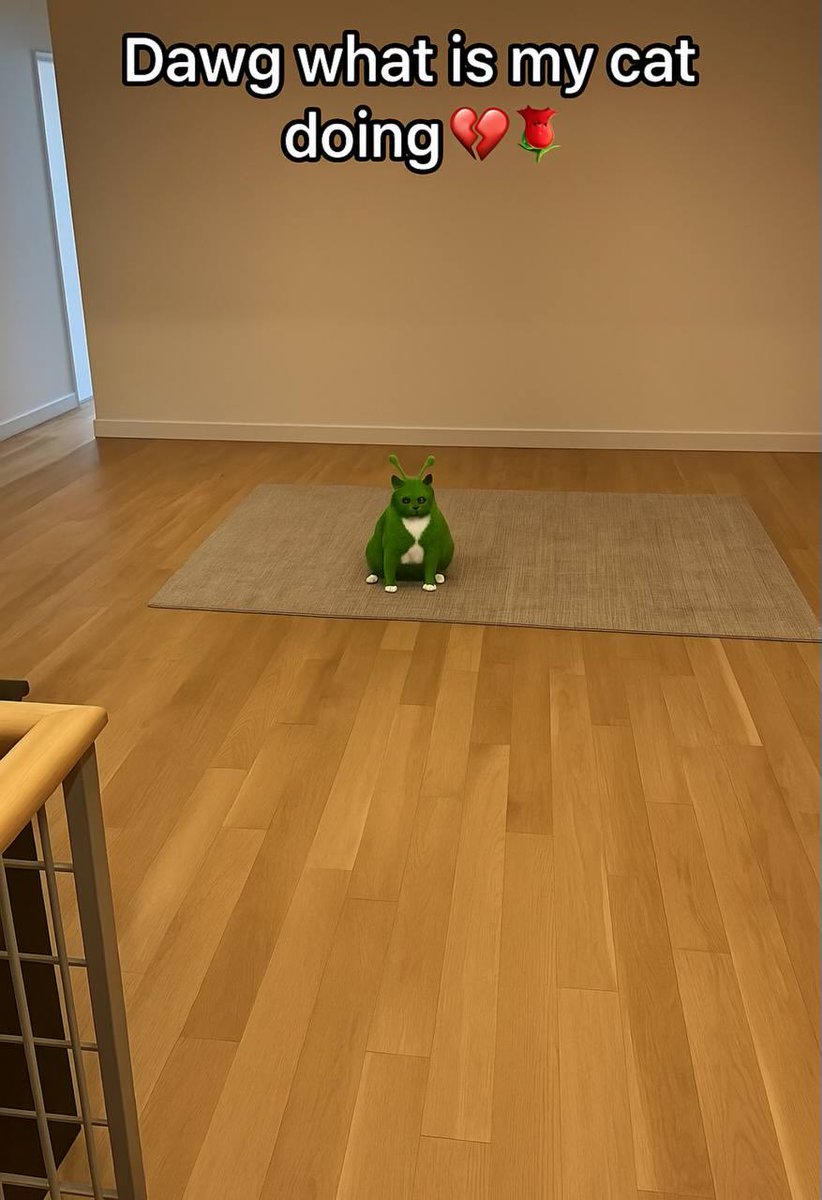 glorp (@glorpcatsol) on Twitter photo 