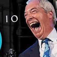 dave lawrence 🐟🐟🐠 tweet media