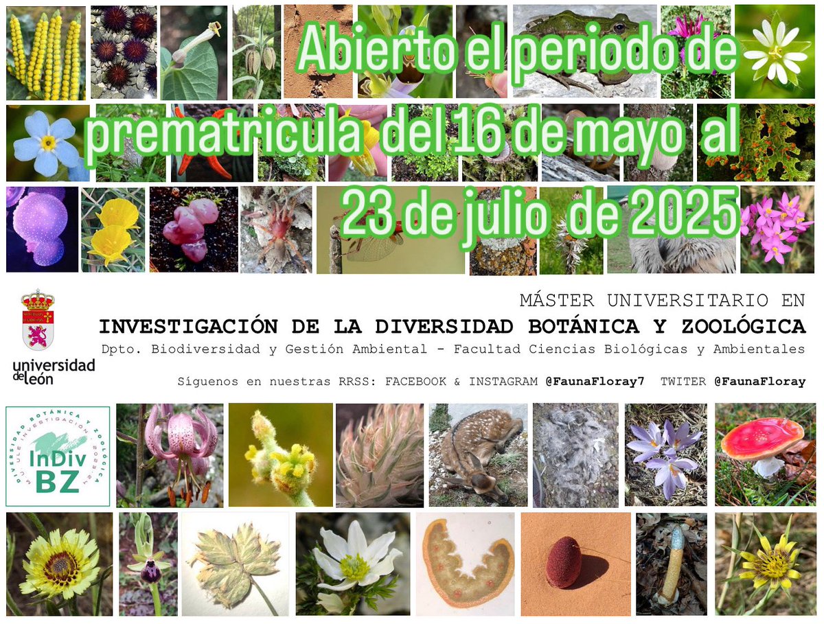 Si te interesa estudiar y conocer la biodiversidad, disciplinas asociadas y líneas de investigación en #Botánica y #Zoología,no te despistes: solo hay 15 plazas en el Master InDivBZ de <a href="/unileon/">Universidad de León</a>

Más información sobre el Master en unileon.es/estudiantes/of…
