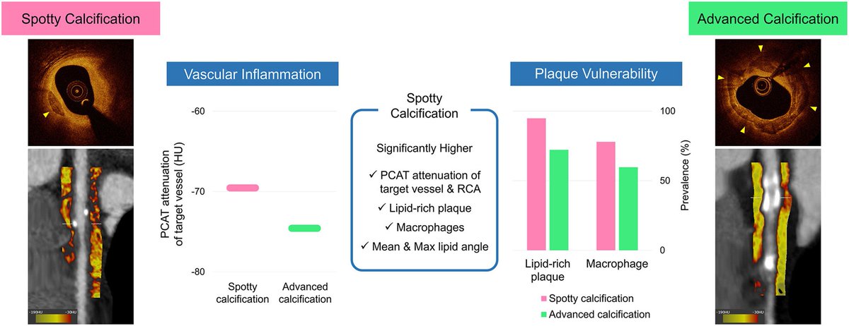 ATHjournal's tweet image. Plaques with spotty calcification, compared with those with advanced calcification, have a higher level of vascular inflammation
🔗atherosclerosis-journal.com/article/S0021-…
@society_eas #EASSoMe