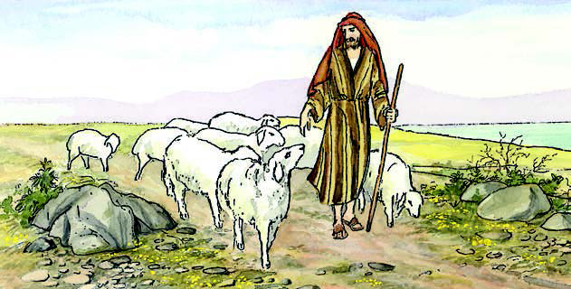 Norteño en Los Altos. tweet media