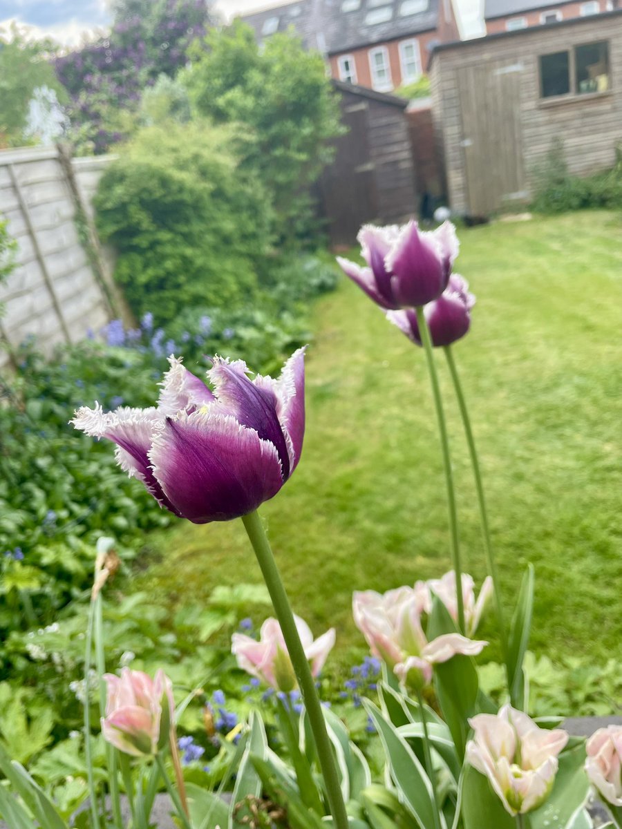 Claire Alcock tweet media