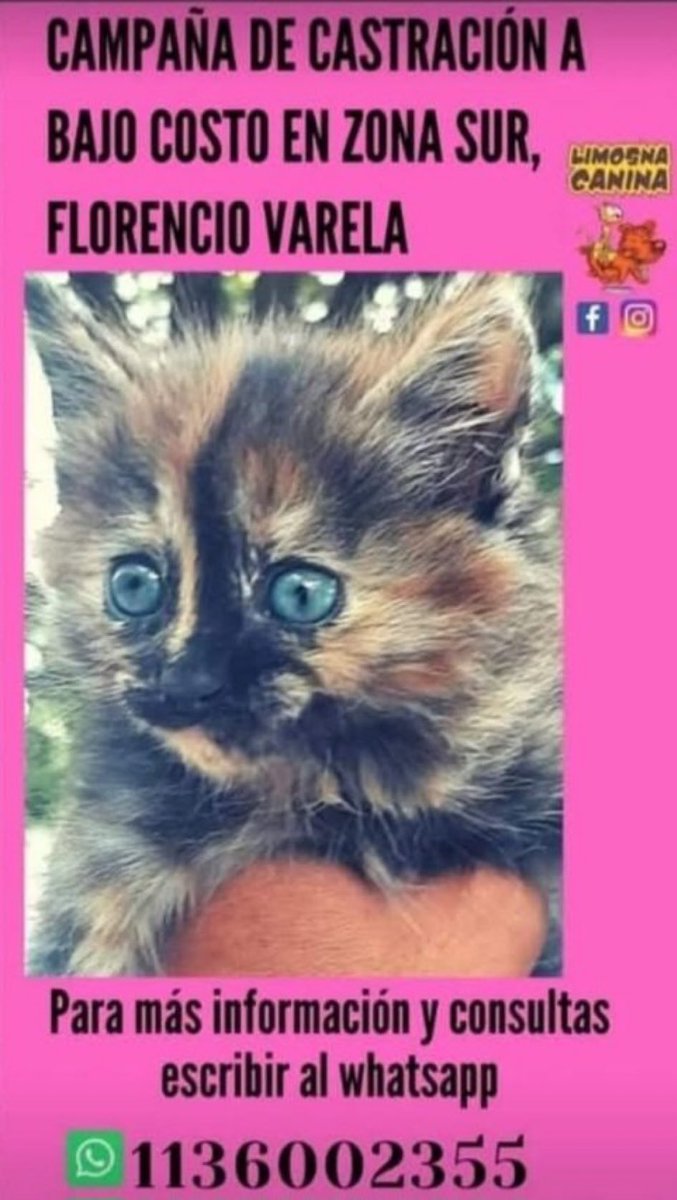 FLORENCIO VARELA 
#FLORENCIOVARELA #VARELA #FCIOVARELA #SANTAROSA 
#CURVABERRAYMUNDO #SANFRANCISCO #ELALPINO #ZONASUR #GRANBSAS #BSAS #BUENOSAIRES #CONURBANO
SÁBADO 17 DE MAYO