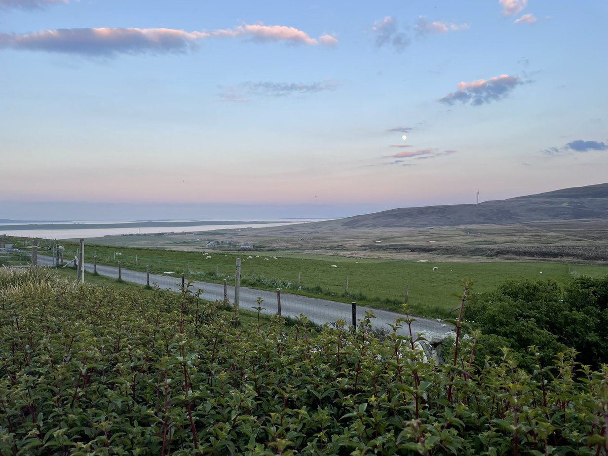 Nicky Jacques tweet media