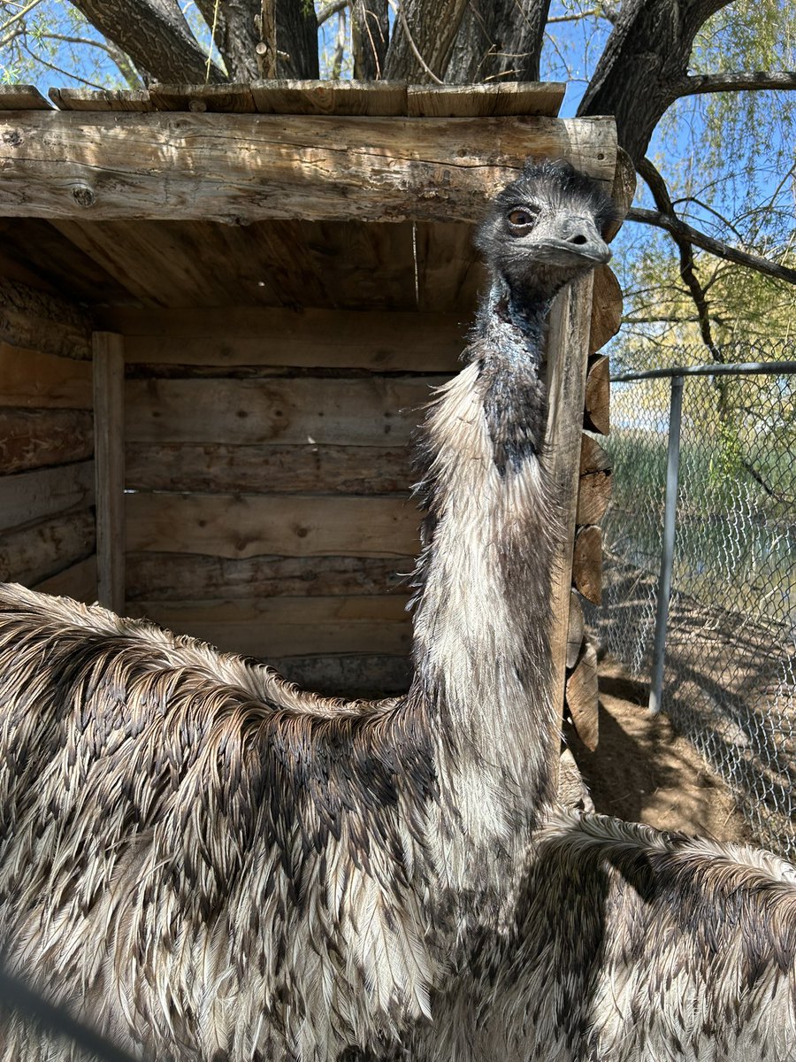 Trey the Explainer 🔜 FWA tweet media