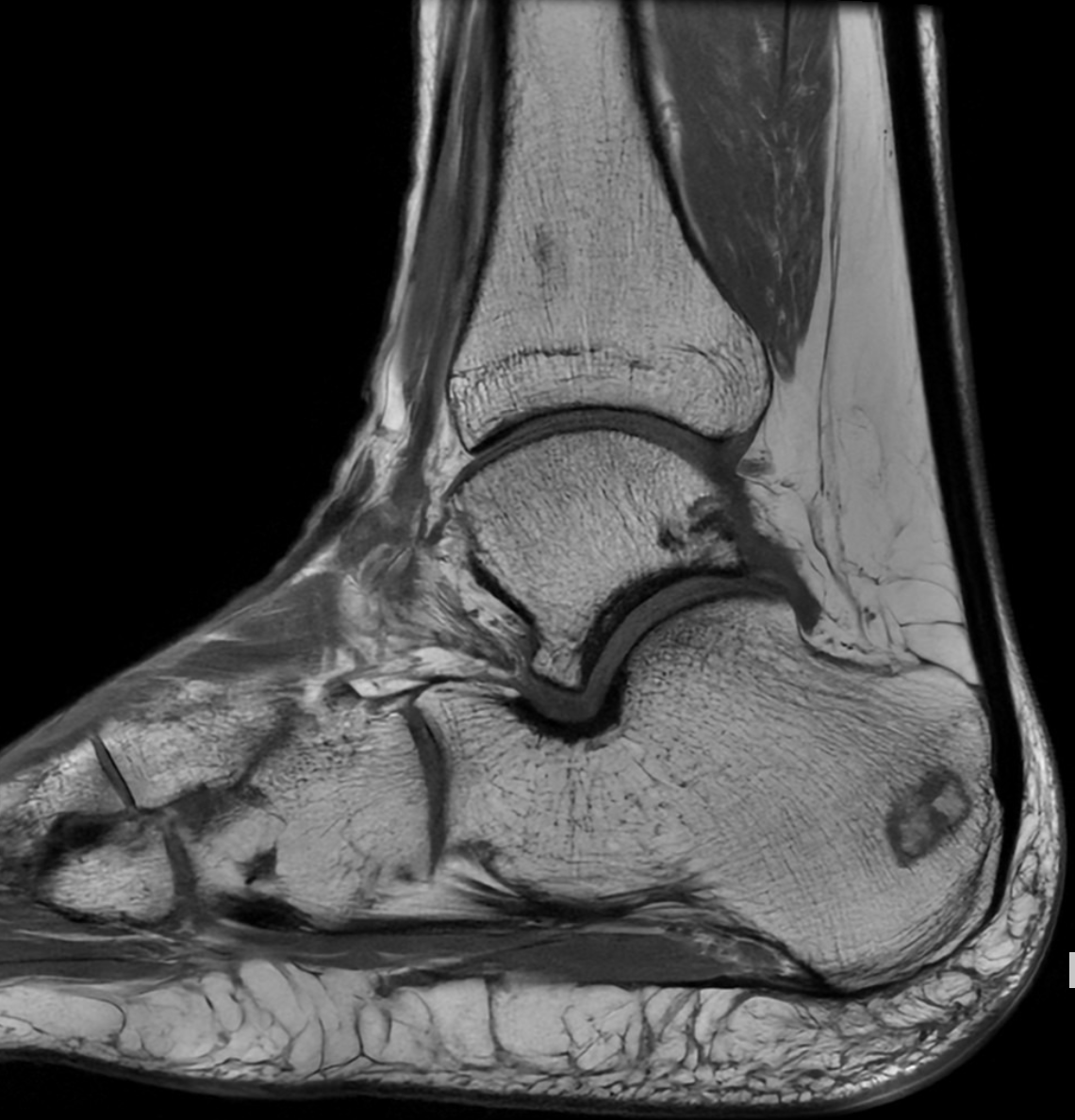 Diana Guzmán Vásquez tweet media