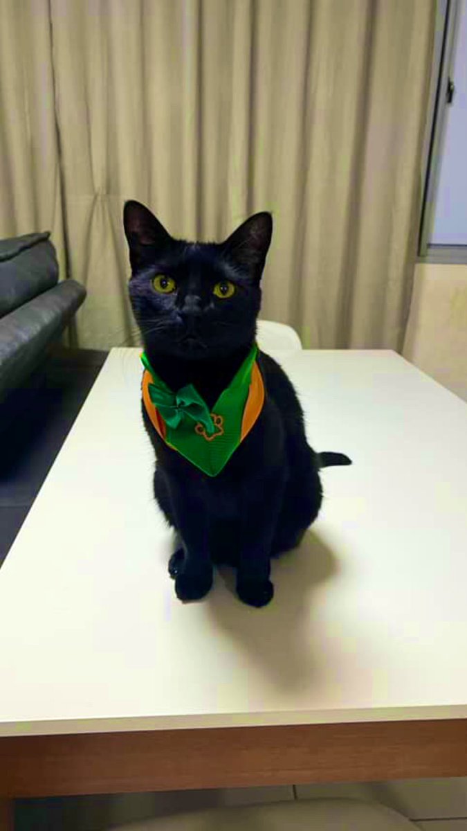 Ex trouxa ⬆️ (@ffabiomenesesf) on Twitter photo 