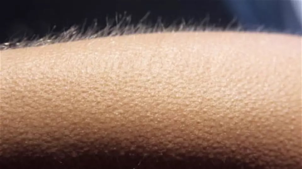 Ré-entendre l’hymne de la Ligue des Champions avec l’OM #HACOM