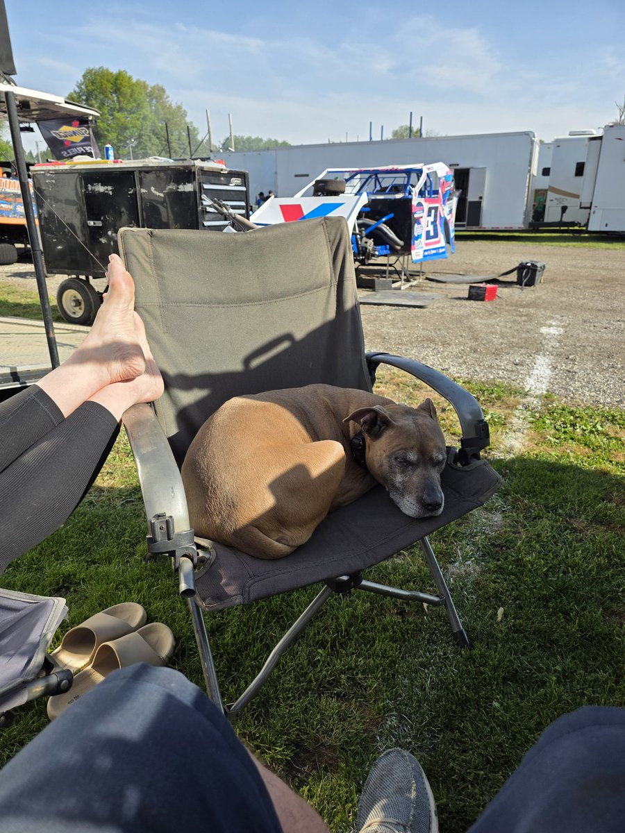 bill schlieper tweet media