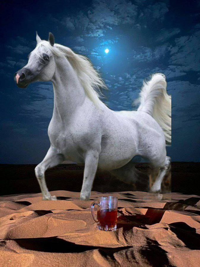 #بوح_آخر_الليل 

مشتاق لك تعال انا وانت والليل
ناخذ علوم الهمس باحلا كـلامه 

اقول احبك حب  مايقبل المـيل
وتقول احبك حب مابه  ملامـه.😍💖
.