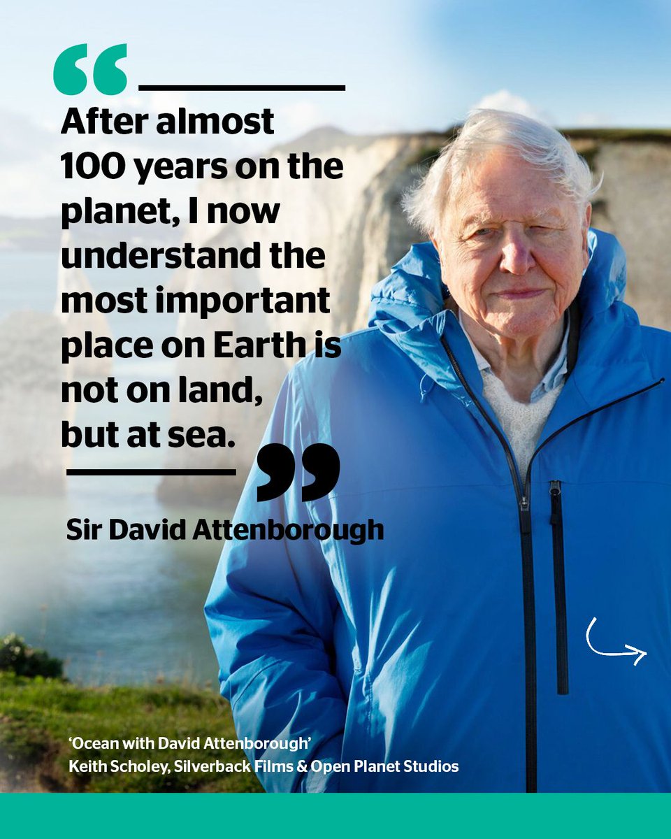 Slow Sunday? Perfect time to pop into your local cinema and sink into something beautiful. 
Ocean, narrated by Sir David Attenborough, is a stunning reminder of why our blue planet is worth protecting – and a great way to celebrate his 99th birthday!
We couldn't agree more with
