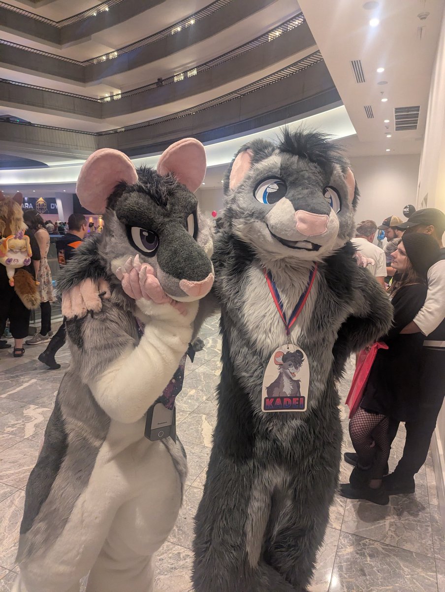 apparently I have a sona twin! me &amp; <a href="/Smokey_Rodent/">SmokeyRat</a>