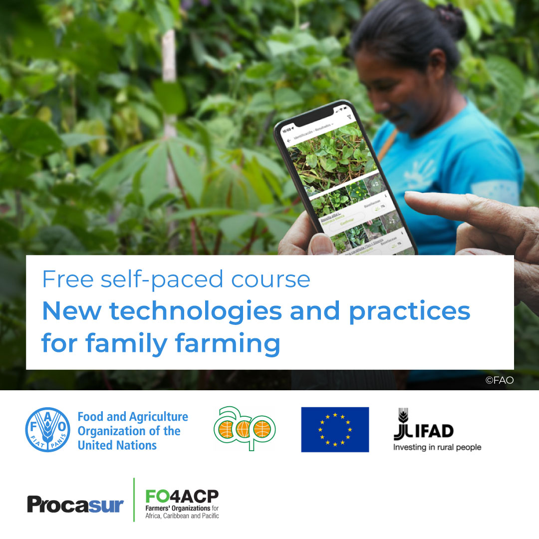 FAO in the Caribbean (@faocaribbean) on Twitter photo ๐ FREE online course!
๐ฐ๏ธ๐ฉโ๐พ New technologies and practices for family farming
Innovation and digital technologies: big opportunities for small farmers
Enroll now! โก๏ธow.ly/4htO50VAPHo
Support: <a href="/PROCASUR/">Procasur</a> <a href="/IFAD/">International Fund for Agricultural Development</a> <a href="/PressACP/">OACPS Secretariat</a> <a href="/FO4ACP/">FO4ACP</a> and European Union ๐ FREE online course!
๐ฐ๏ธ๐ฉโ๐พ New technologies and practices for family farming
Innovation and digital technologies: big opportunities for small farmers
Enroll now! โก๏ธow.ly/4htO50VAPHo
Support: <a href="/PROCASUR/">Procasur</a> <a href="/IFAD/">International Fund for Agricultural Development</a> <a href="/PressACP/">OACPS Secretariat</a> <a href="/FO4ACP/">FO4ACP</a> and European Union