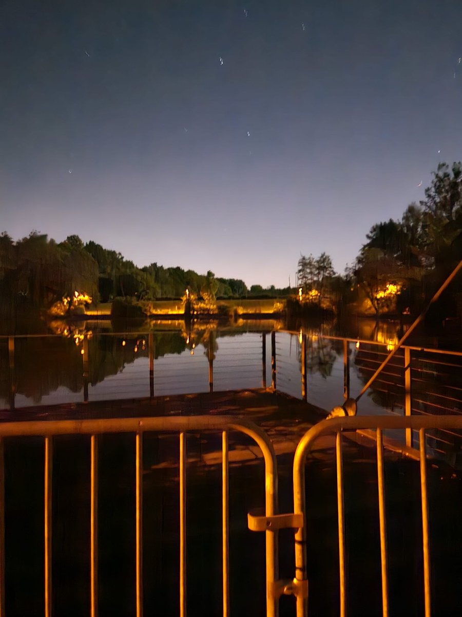 WS Marco 👑 tweet media