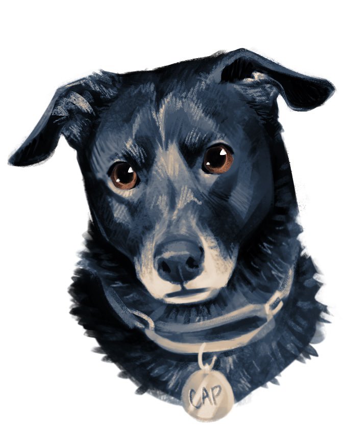 bramblesnbones's tweet image. my boy turned 9 yesterday 😭 can time stop moving for a minute pls
#petportrait #dogart