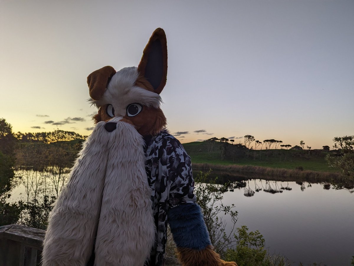 One of my favorite cons is finally coming to a close, and it's been amazing to be back with so many of my friends. 

FurcoNZ is always an experience I'd recommend to anybody who wants an adventure 

🪡 : <a href="/TheGoldenMaw/">Golden Maw</a> 
📸 : <a href="/SkitterSalali/">Skitter</a>